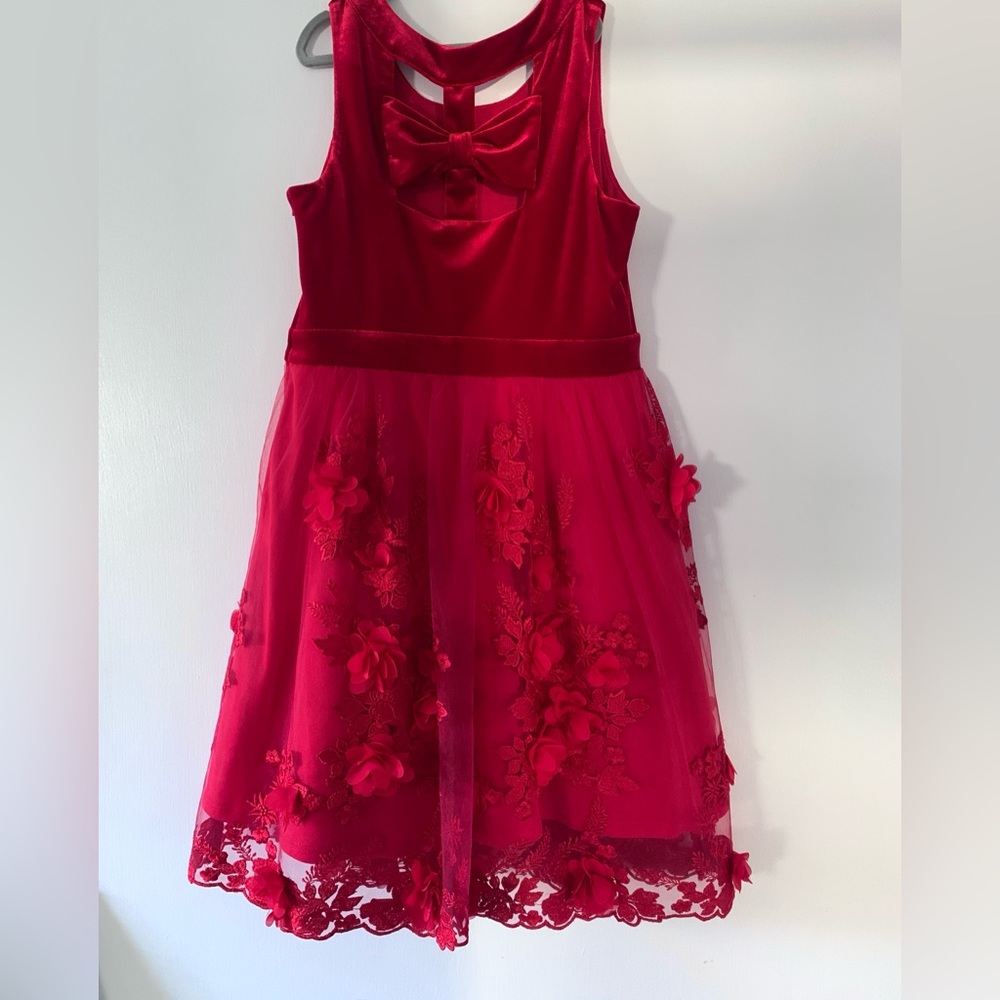 Fancy Party Dress with Velvet Bow and Roses